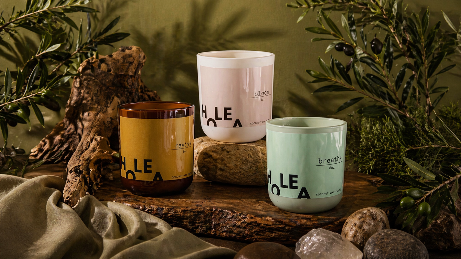 The Harmony Collection